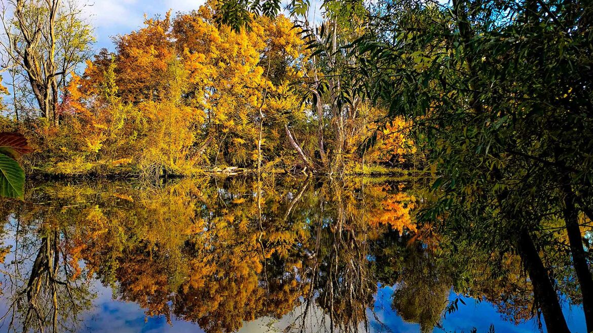 Reflets d'automne