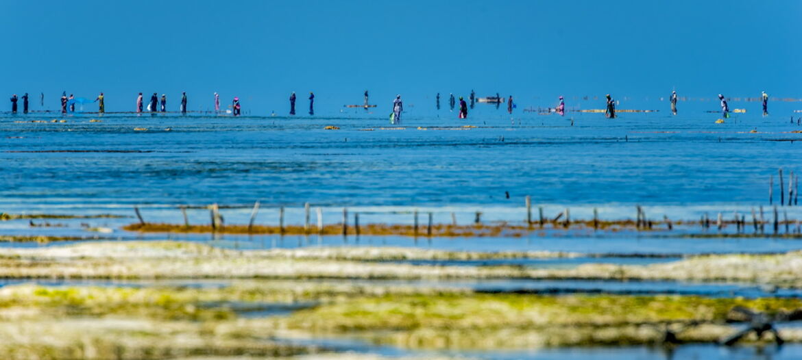 La pêche