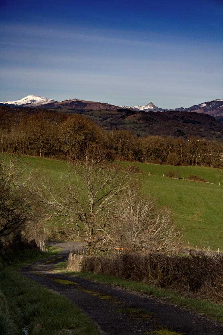 ça sent le retour dans le cantal