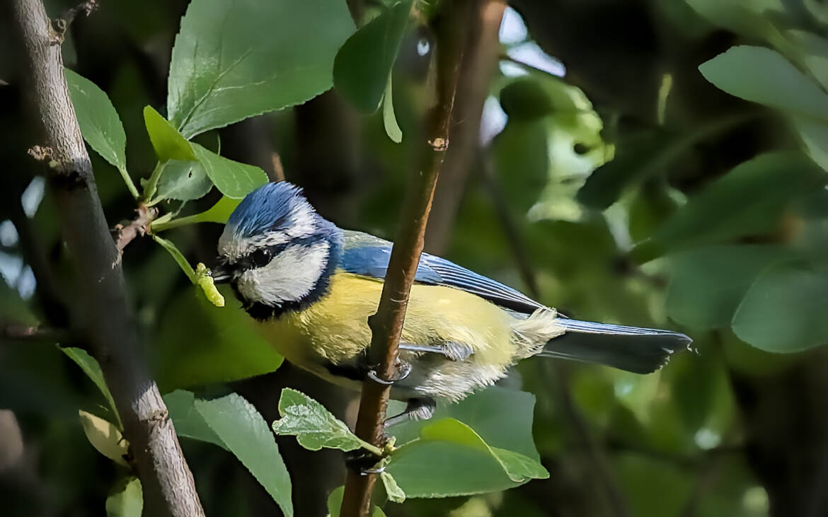 Retour de chasse (6)