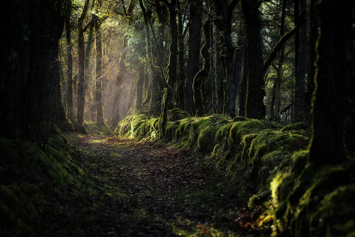 Le chemin de l'ermite