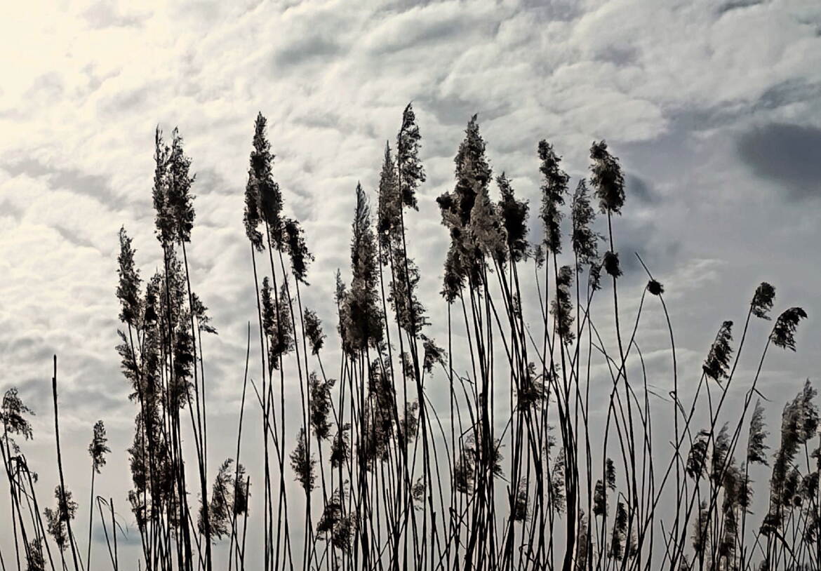 Prendre de la hauteur