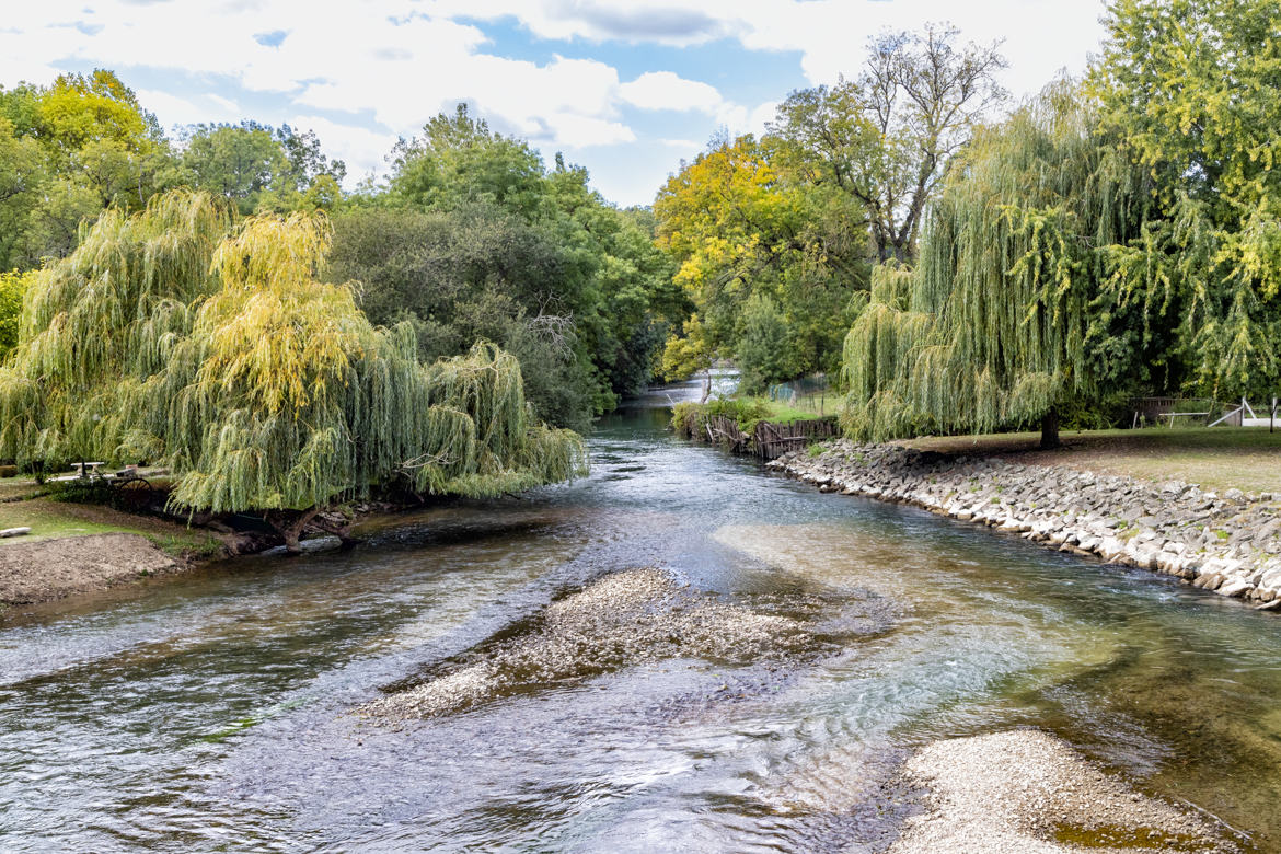 Le Loir à la Chartre