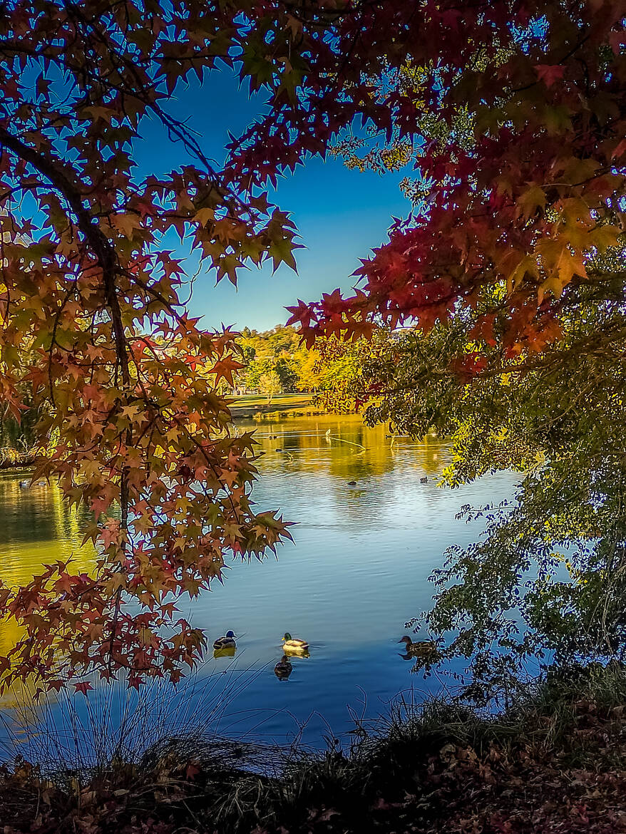 lac d automne