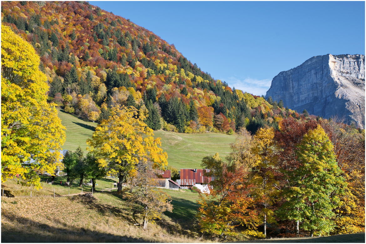 Couleurs d'automne