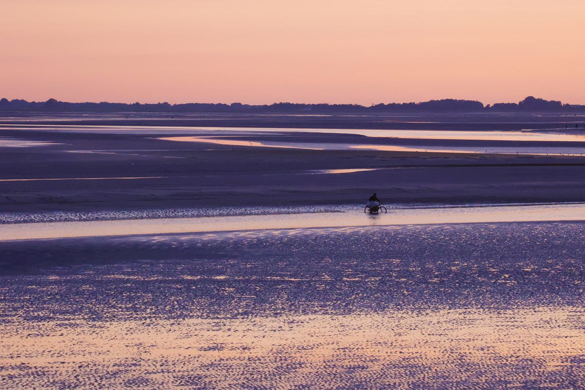 Pêcheur d'algues