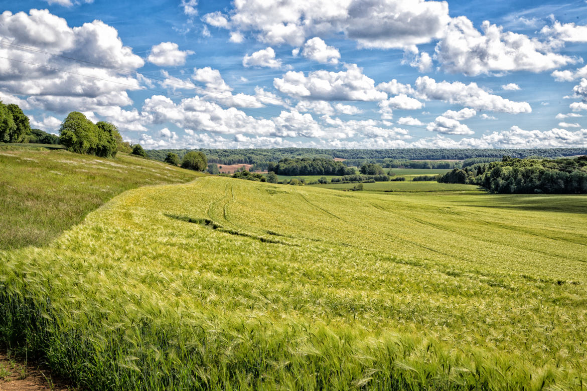 Paysage reposant