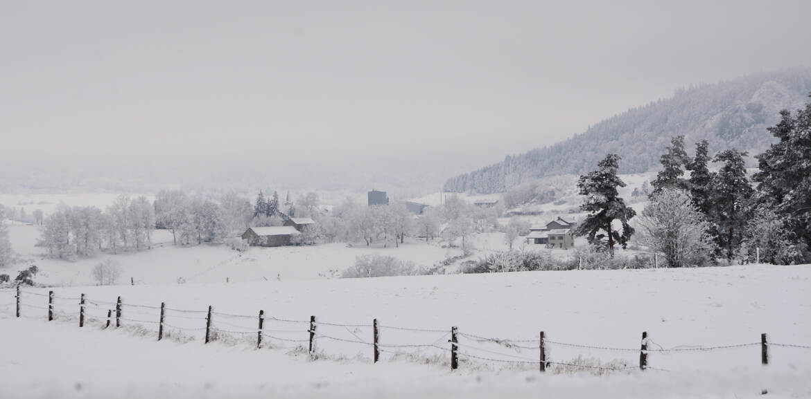 Araules en hiver