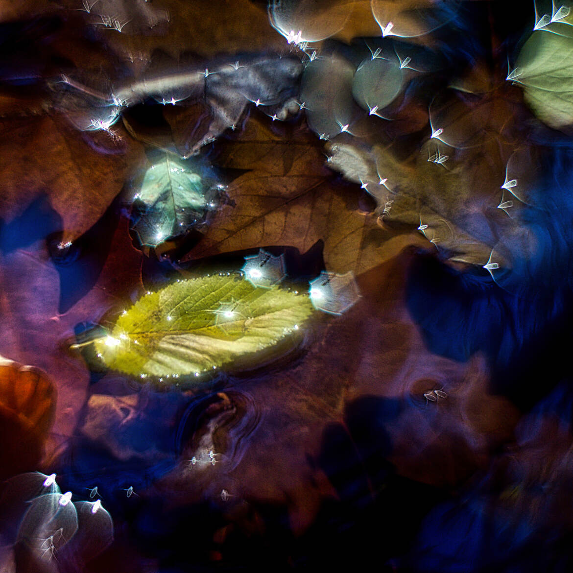 Hélios et la feuille