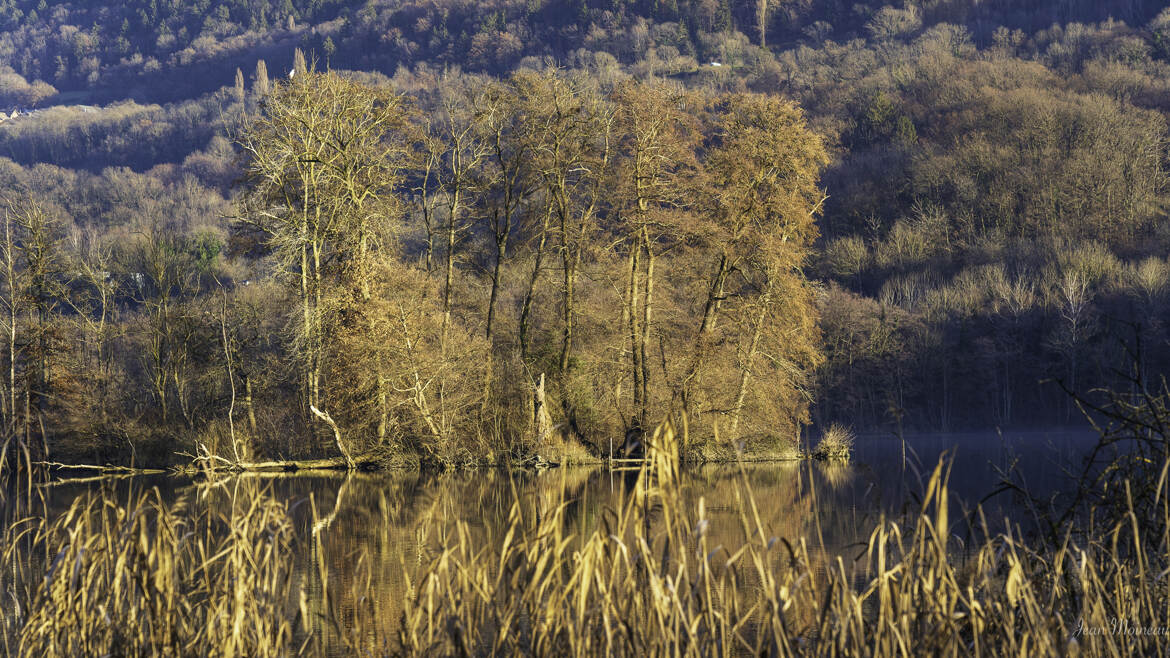 L'ile sur le lac