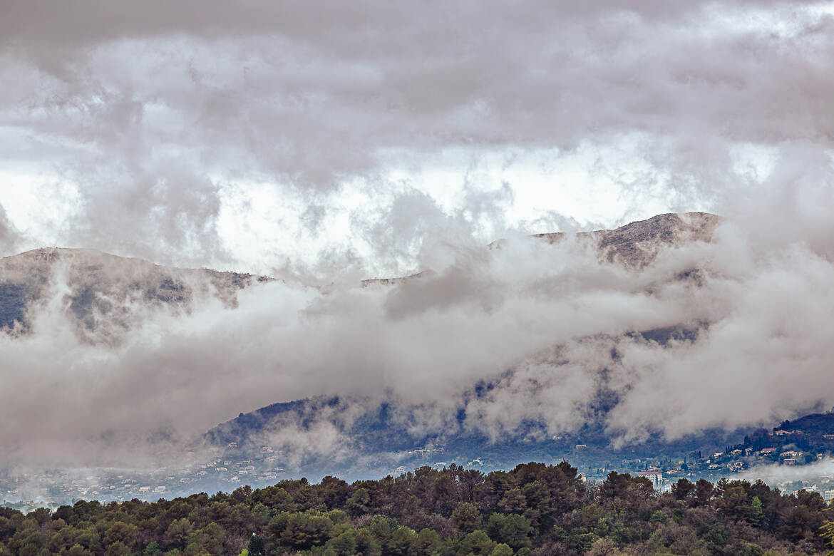 Looking for the summer