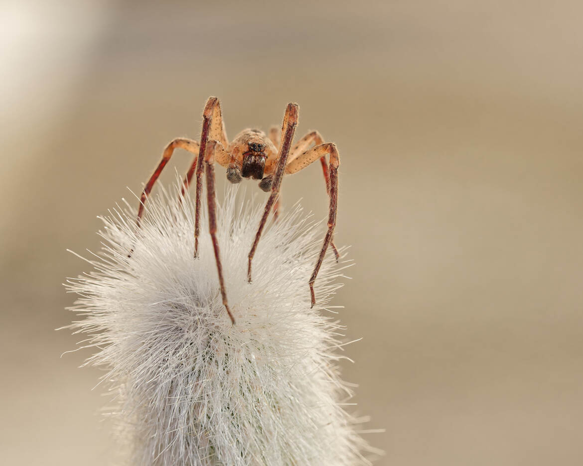 Prête à en découdre...