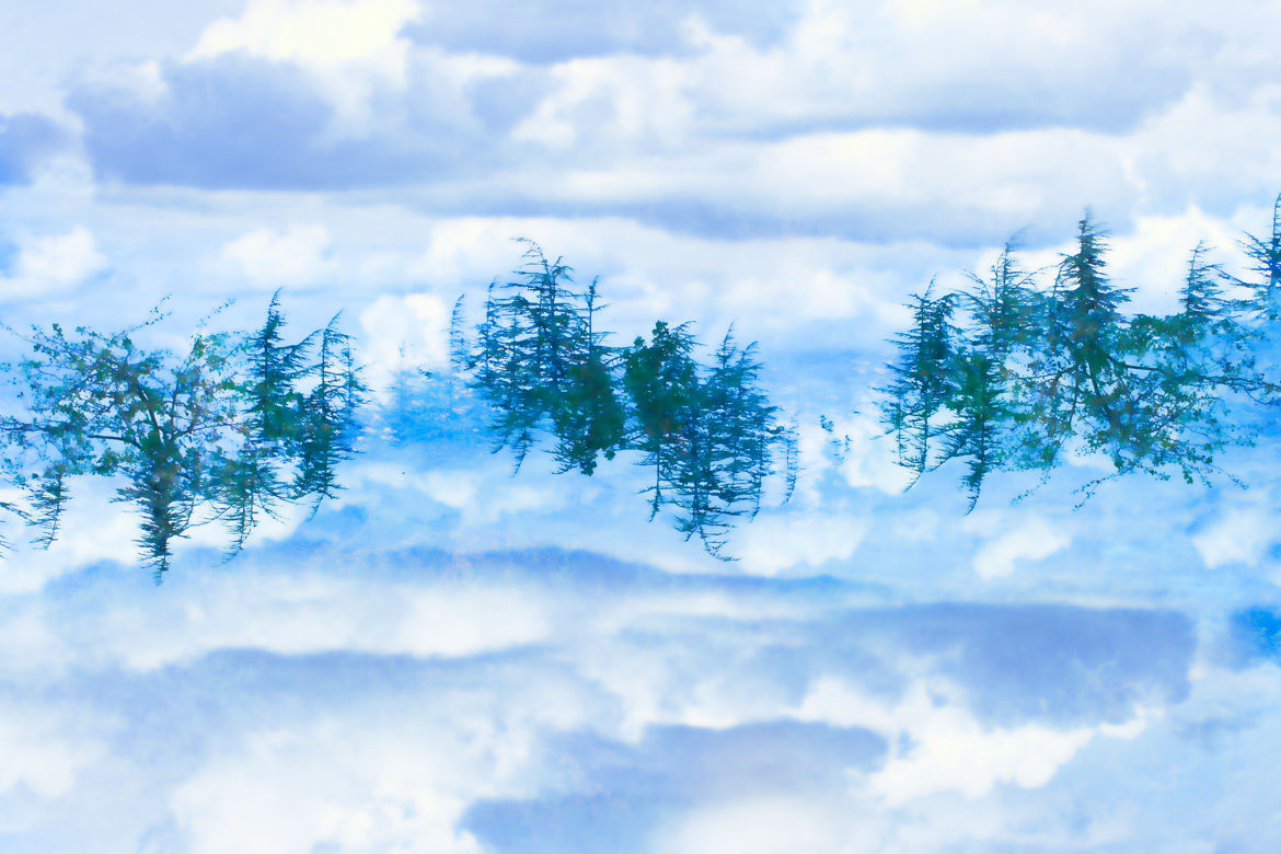 Arbres dans les nuages