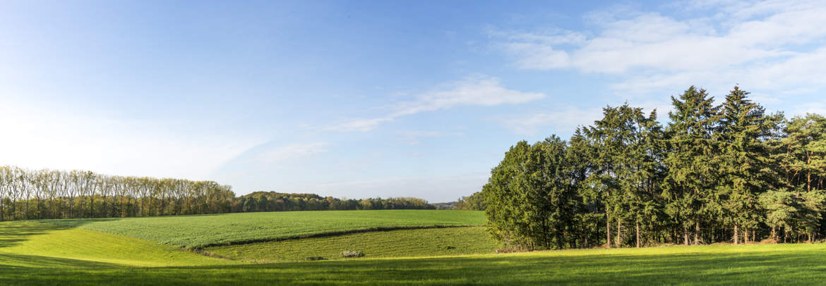 Panorama sur la campagne
