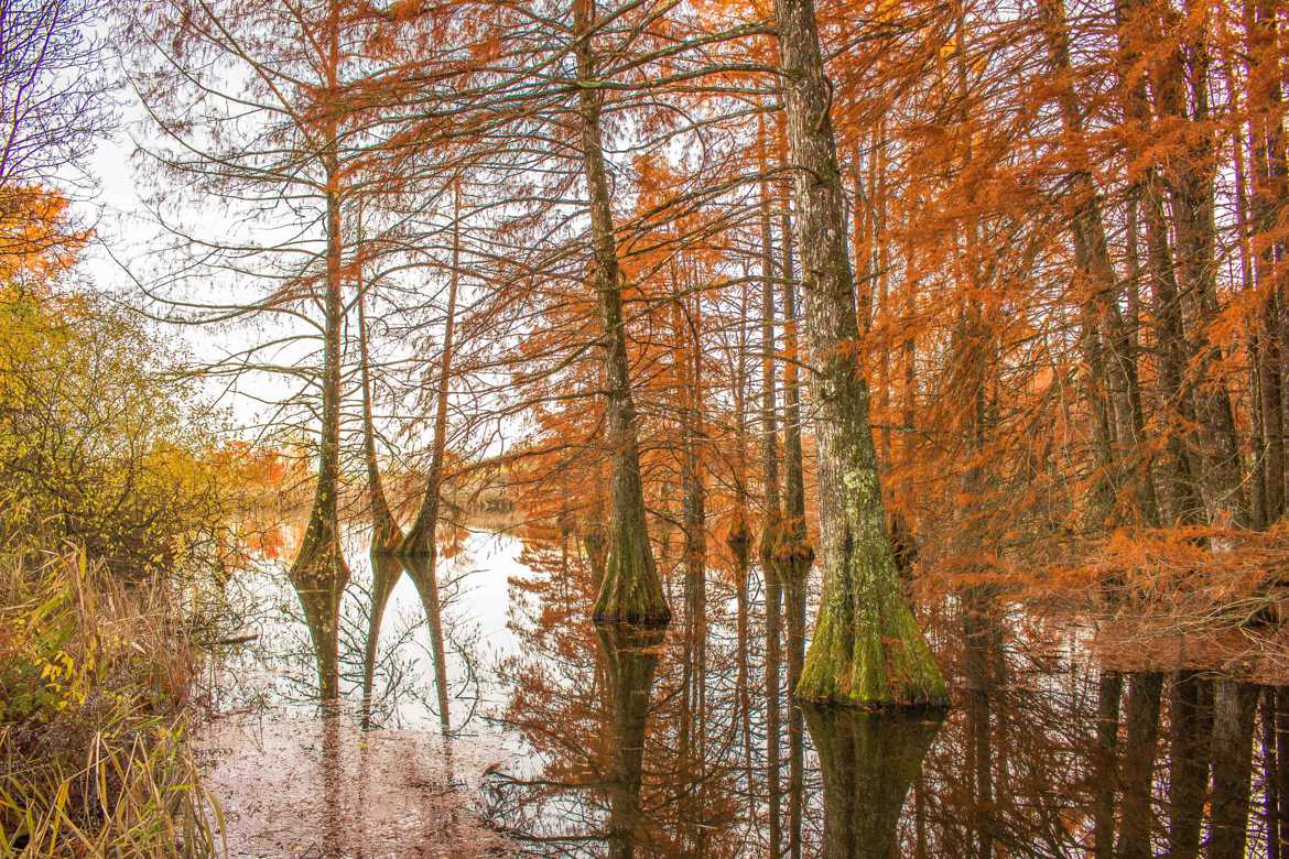 Les pieds dans l eau