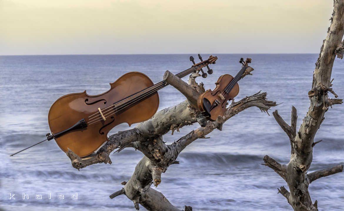 violoncelle & violon