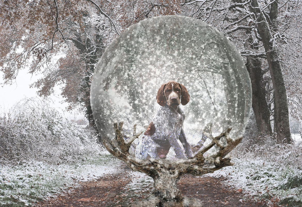 Boule à neige