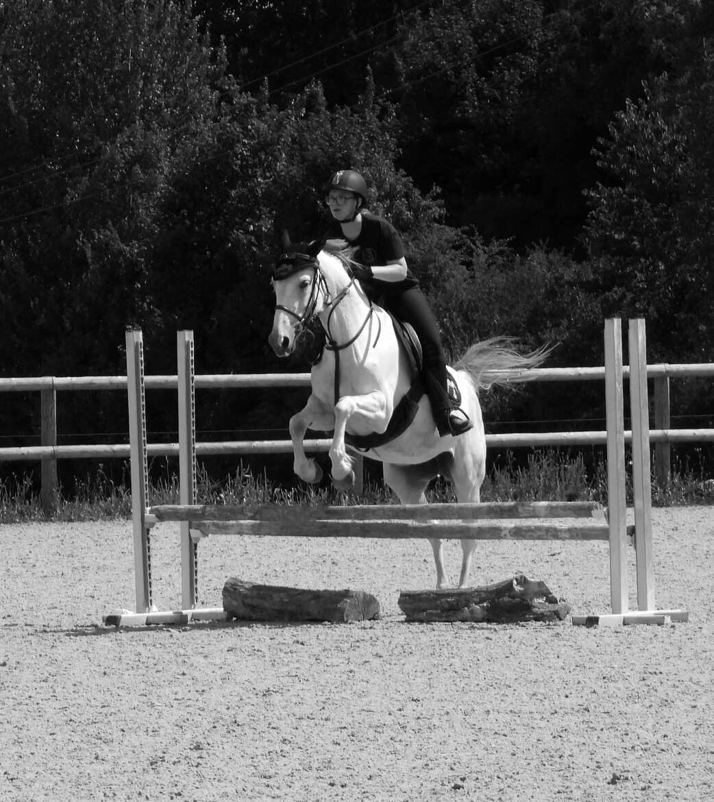 cheval blanc et noir