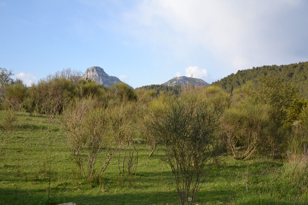 Baou de St Jeannet