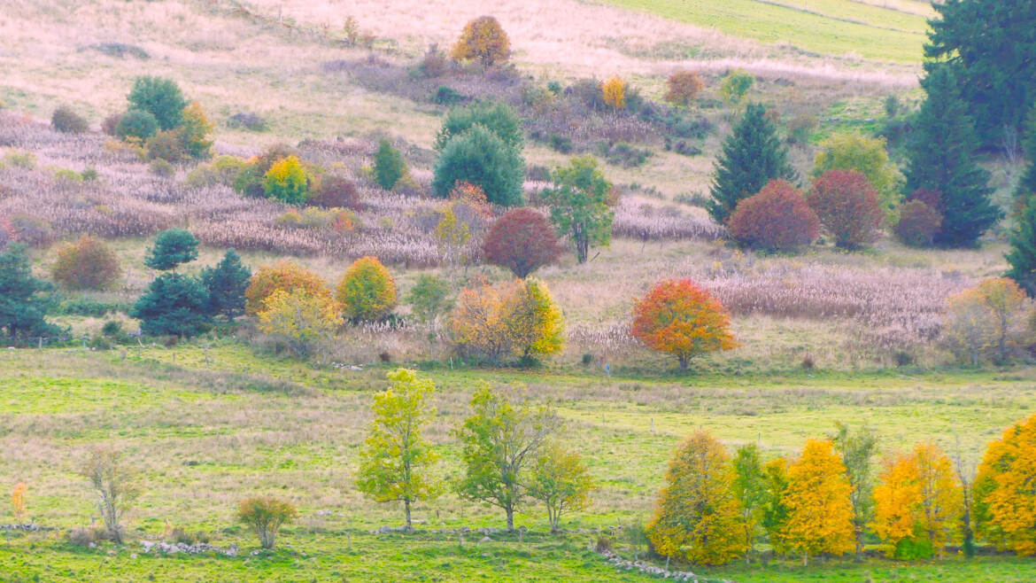 Série " Comme un tableau n°8 " Marais des Balayes