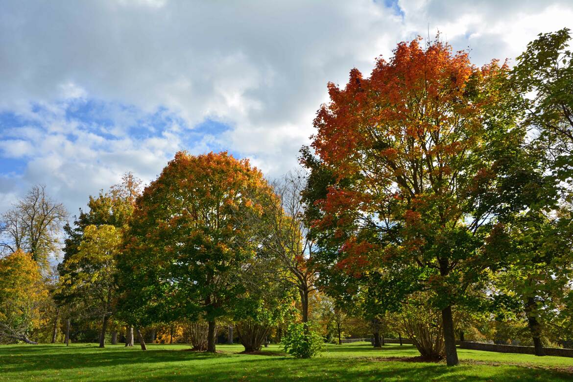 Parc du château de Lapalisse