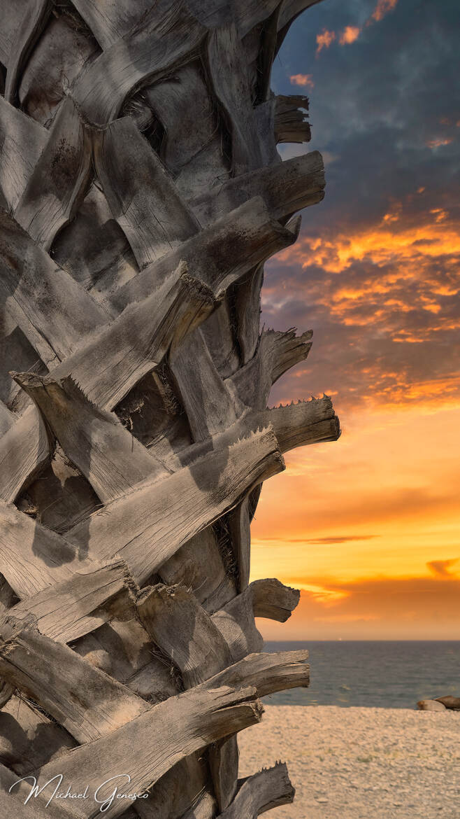 La Costa de Banyuls al capvespre