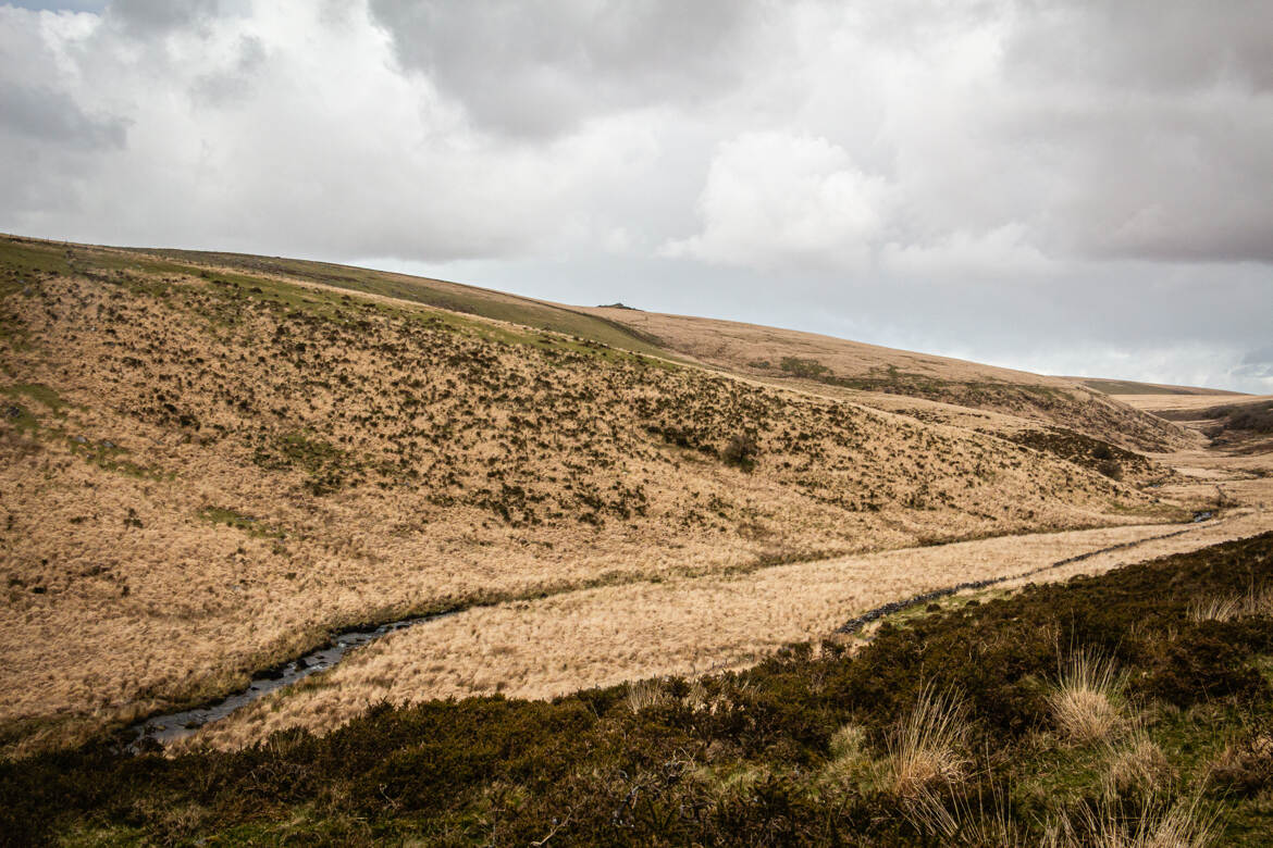 Dartmoor