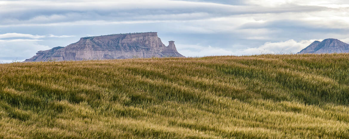 Panorama des Bardenas