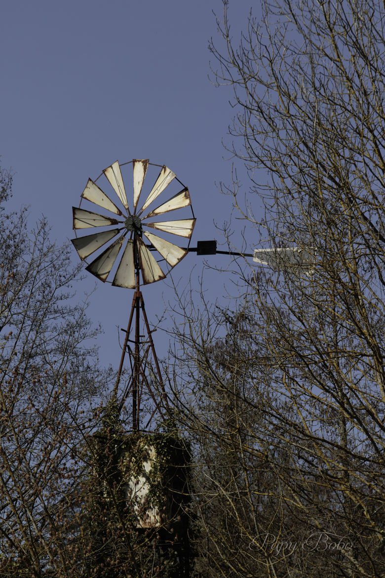 L'éolienne