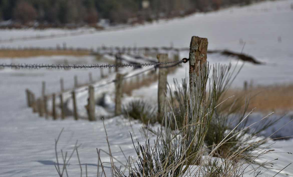 Un dimanche dans la neige