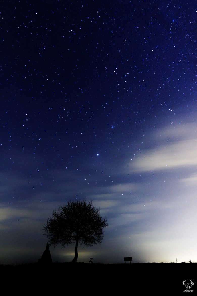 Nuit Bleue