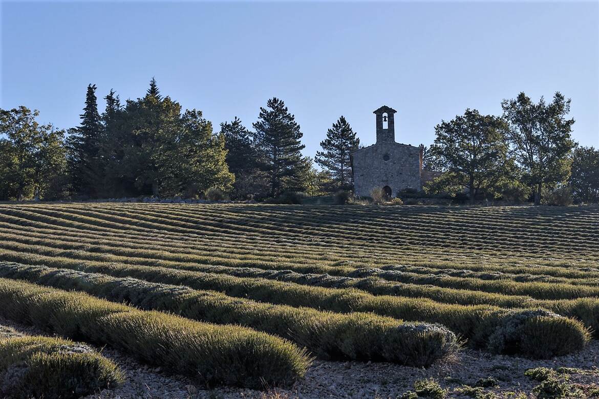 Chapelle ,lavande et ciel bleu