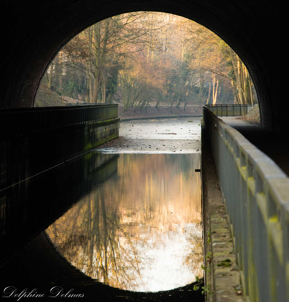 le long du canal