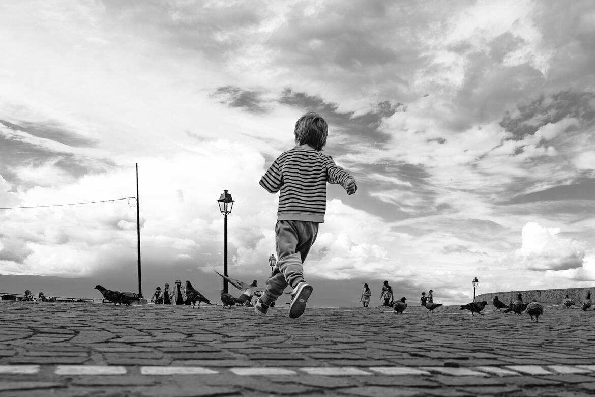 La course aux pigeons