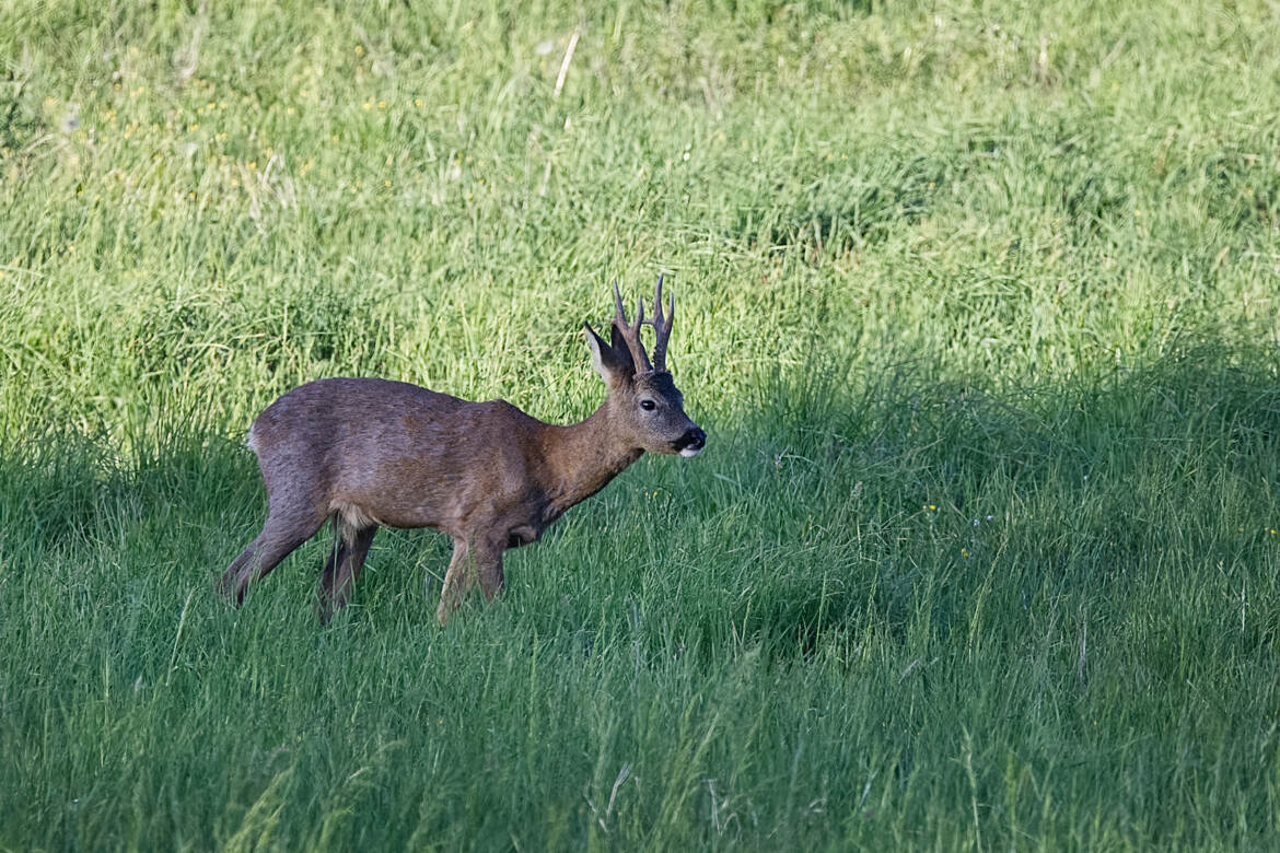 Quelle belle soirée...