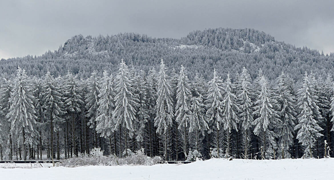 Comme des gardiens immobiles