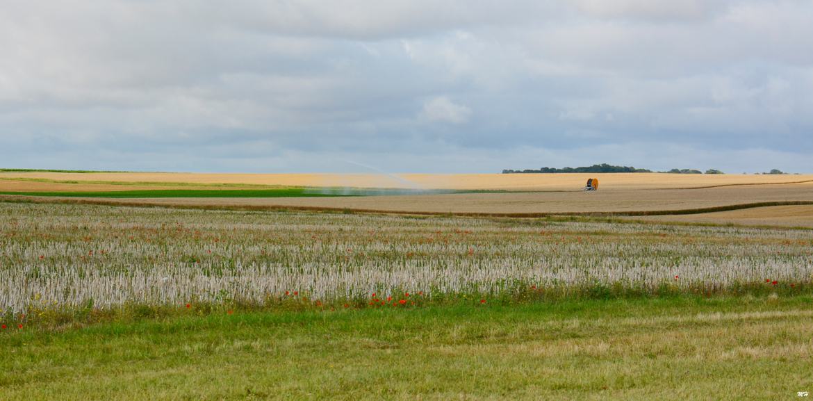 Terres moissonnées