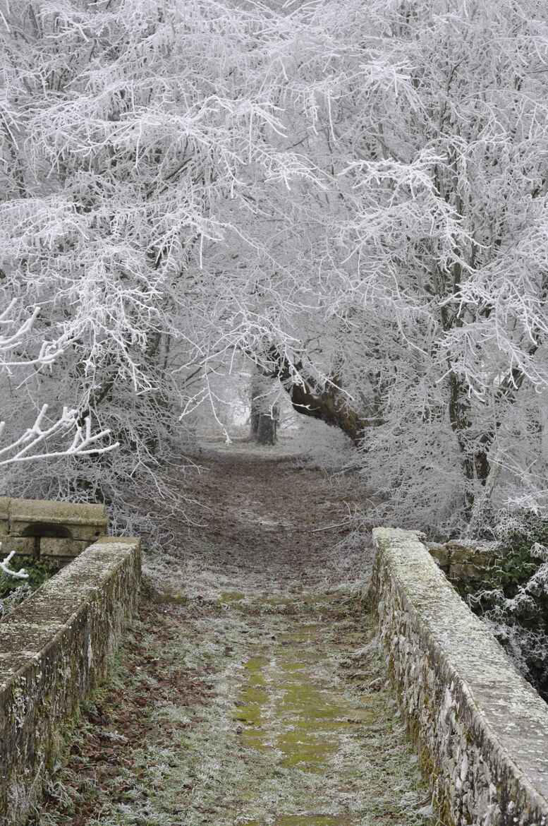 CHEMIN VERS LE PAYS DE GLACE