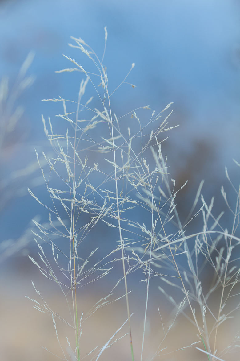 Douceur de novembre