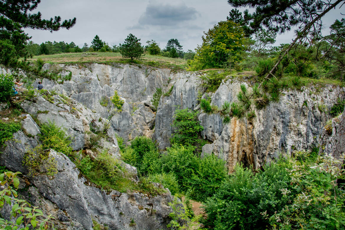 Appellation Fondry des Chiens