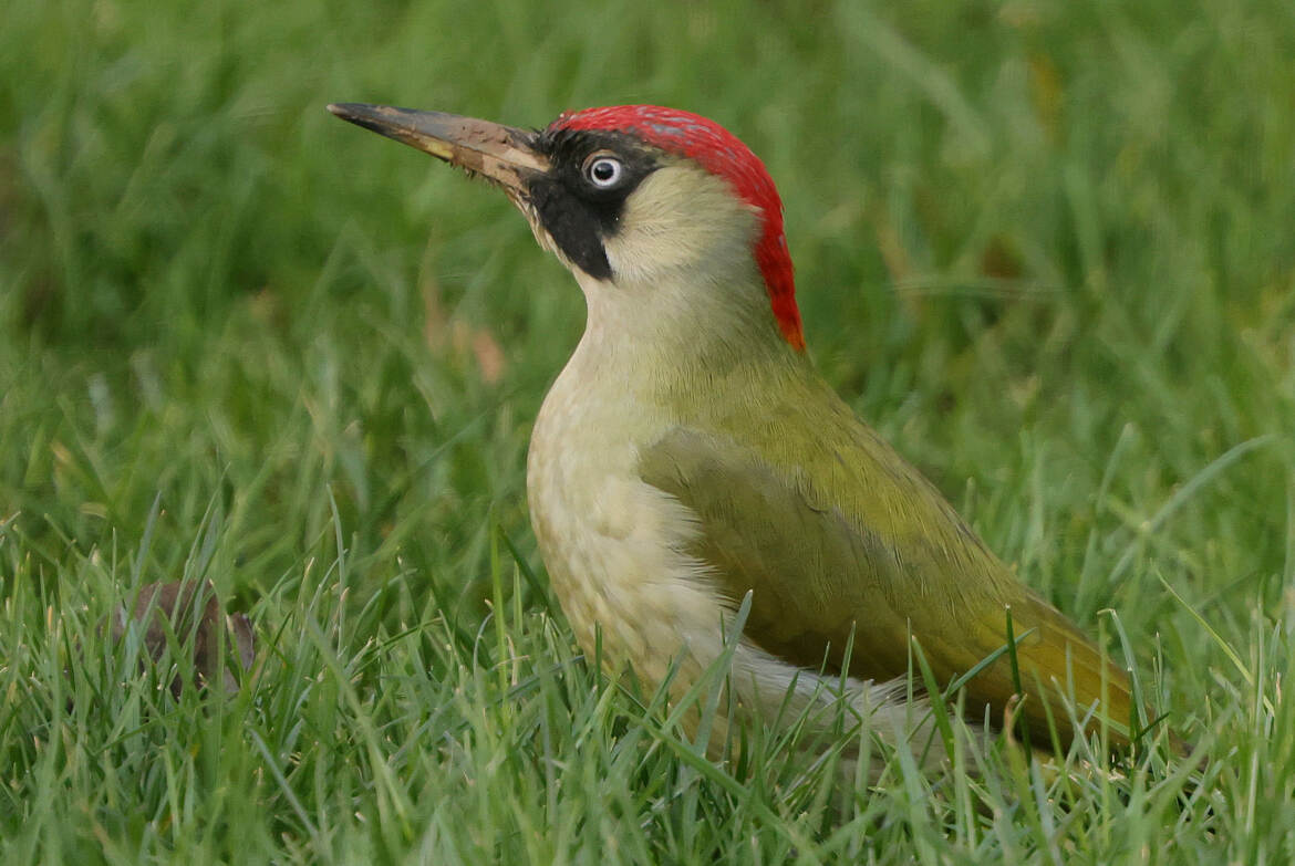toujours en alerte !