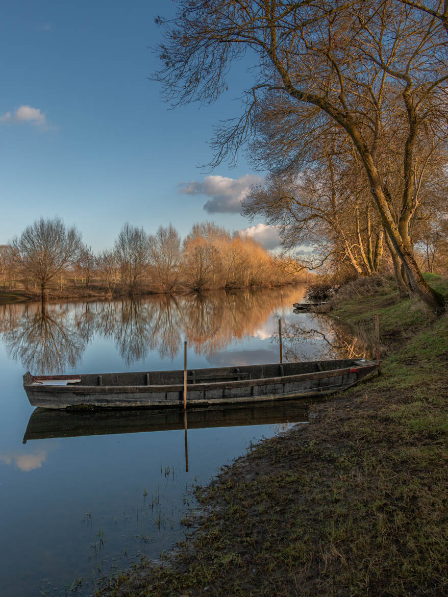 En bord de Loire, un après midi