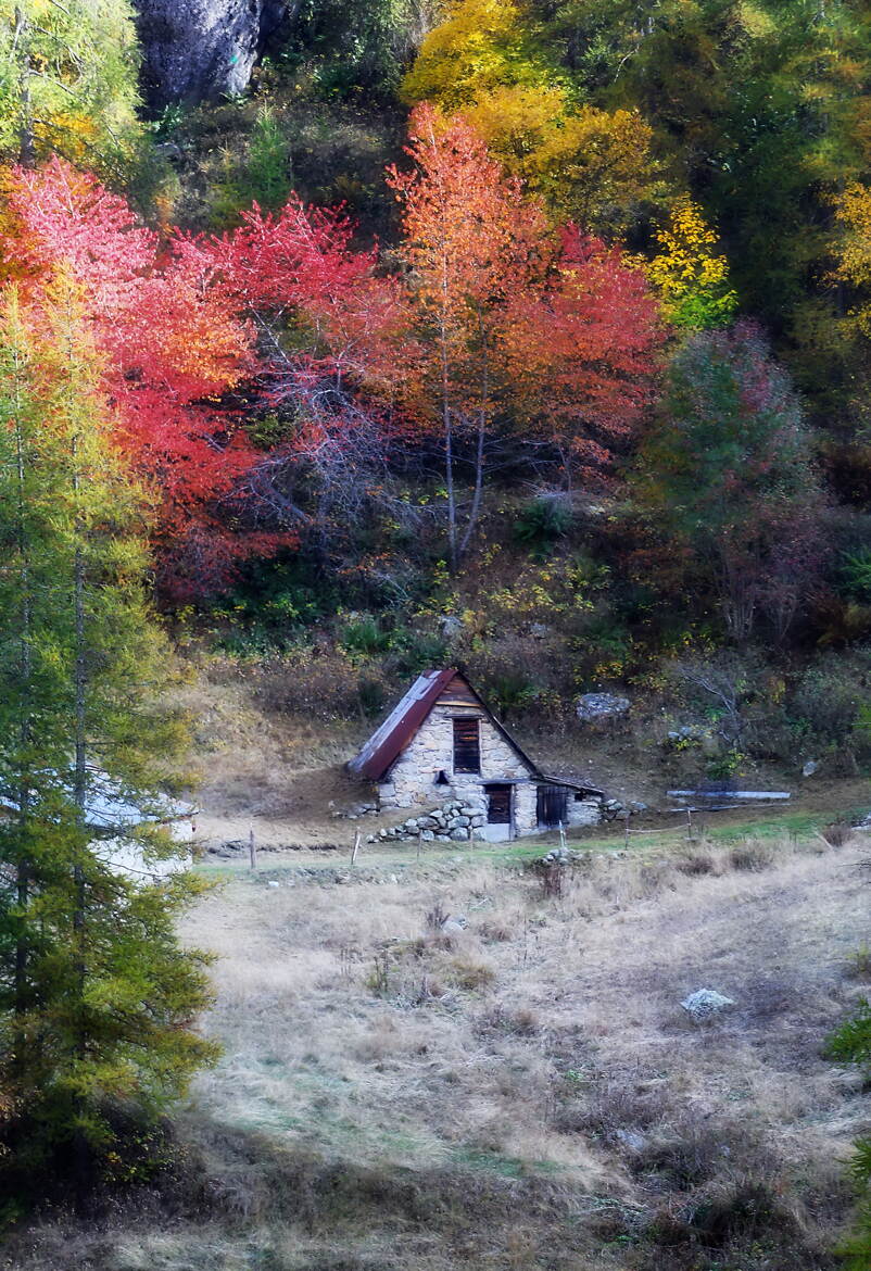 Dans le silencieux automne.