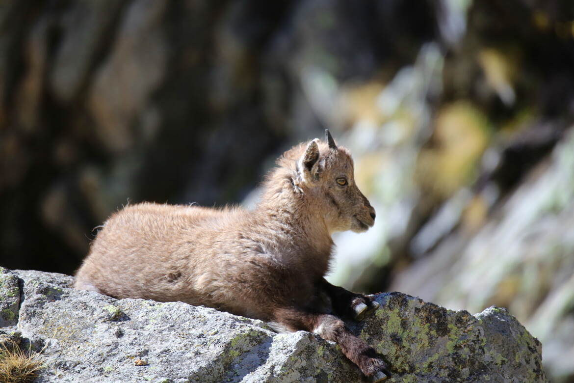 Tu voudrais m'approcher d'avantage.