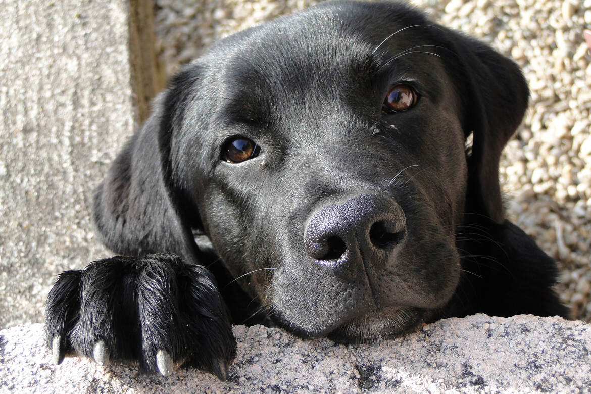 Un regard rempli de tendresse