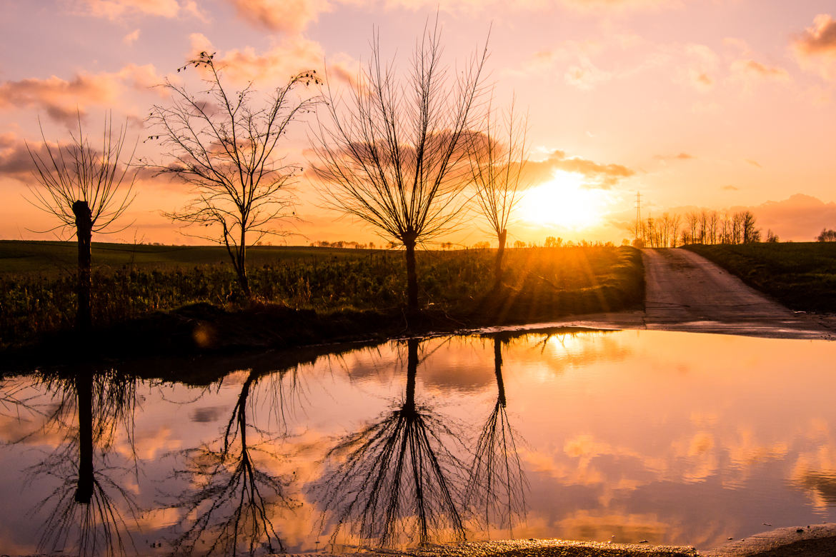 Reflets du soir