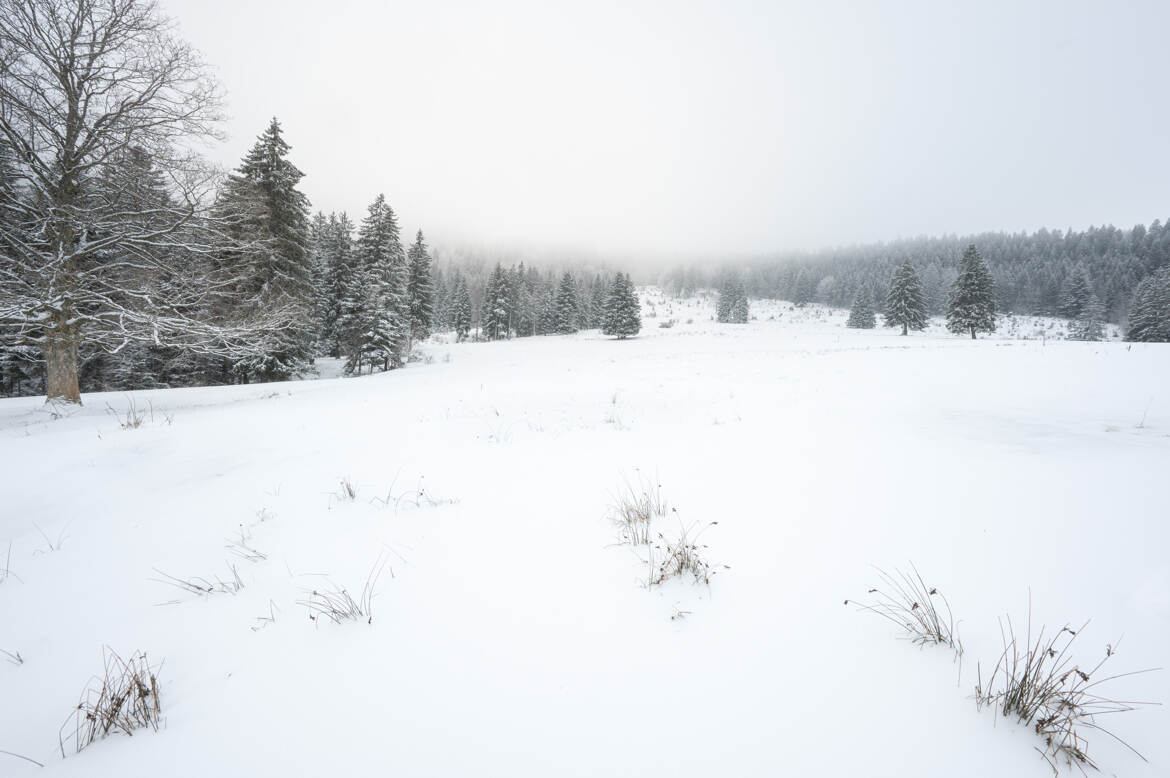 entre brumes et neige