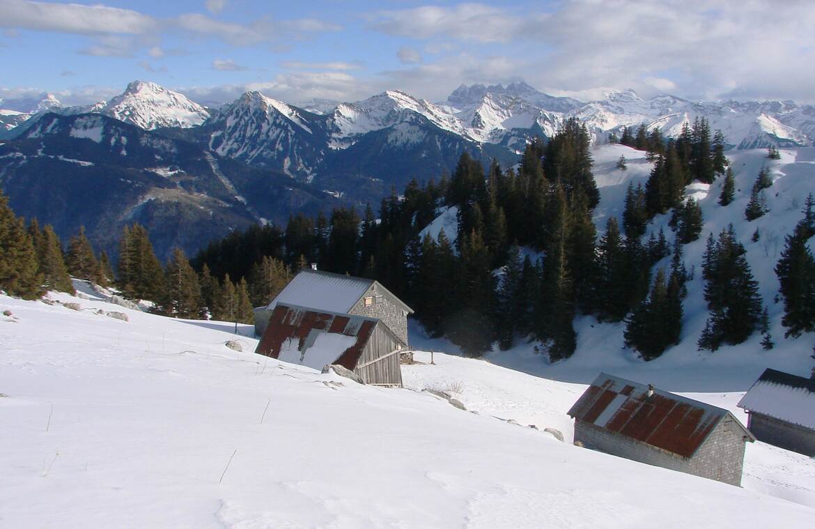 Chalets ensoleillés