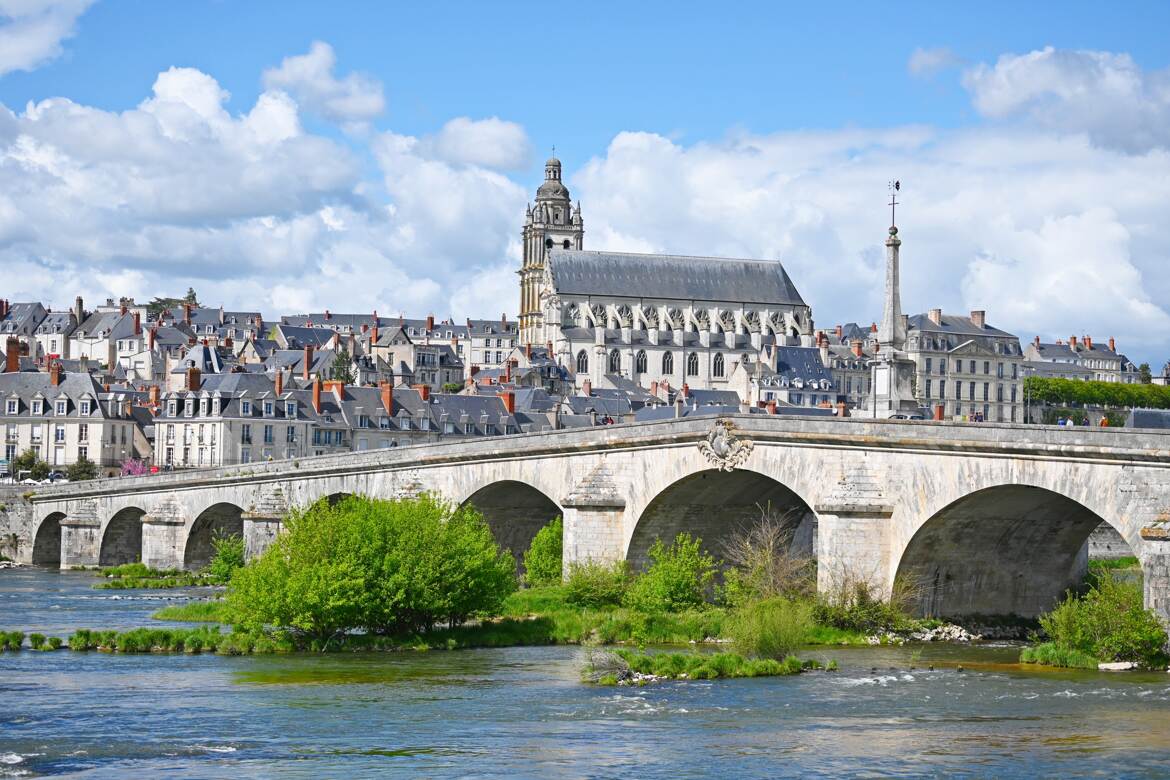 Carte postale Blésoise