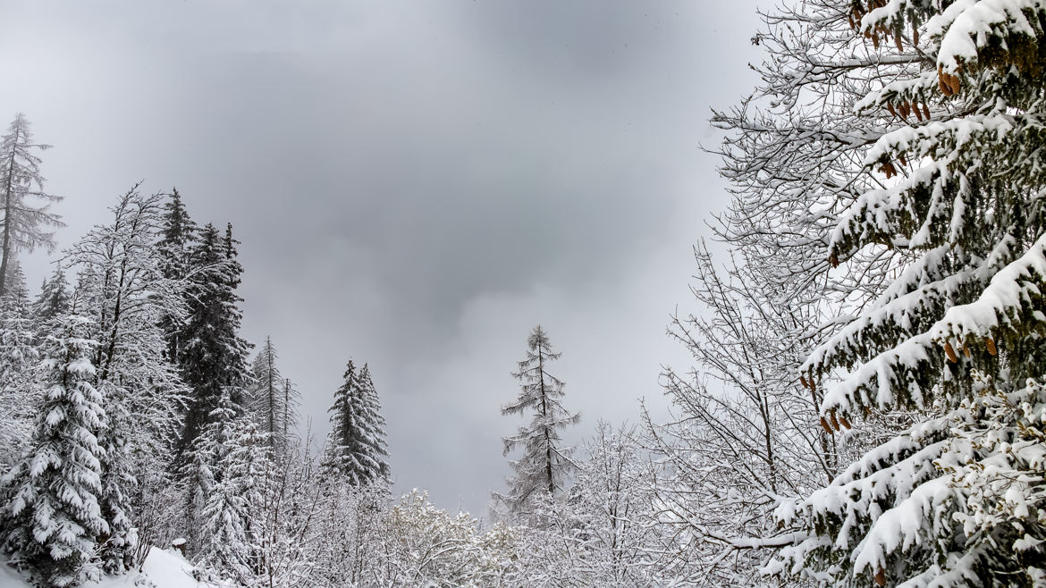 le retour de la neige